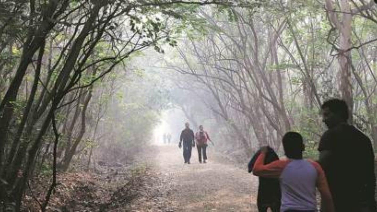 Pune’s minimum temperature has ranged from 15 to 18 degrees Celsius, but it feels much colder. Medha Khole, head of weather forecasting at the India Meteorological Department (IMD), said this is mostly because of the vast difference between the day and night temperatures.