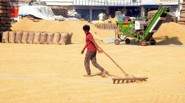 Recently, 11,241 quintals of rice was sent to Dimapur (Nagaland) and Assam. On November 12 and 13, the samples of these rice failed the quality test.