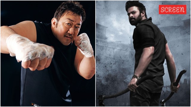 Don Lee recently took to his Instagram stories to share a poster of Salaar: Part 2, starring Prabhas, which immediately set off a buzz on social media.