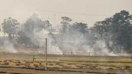 stubble burning in Punjab