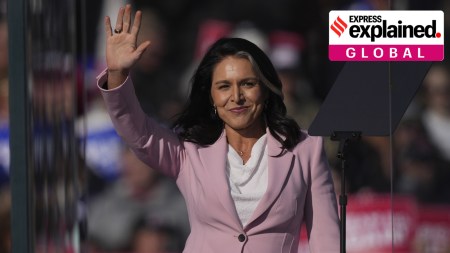 Who is Tulsi Gabbard