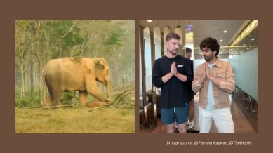 Top 5 viral videos today