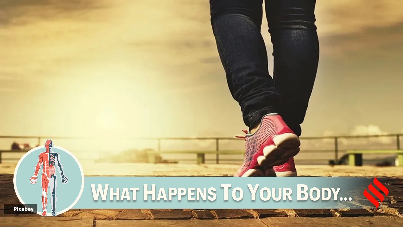 Find out what will happen to the body if you walk for 30 minutes a day (without counting the steps) - The Indian Express