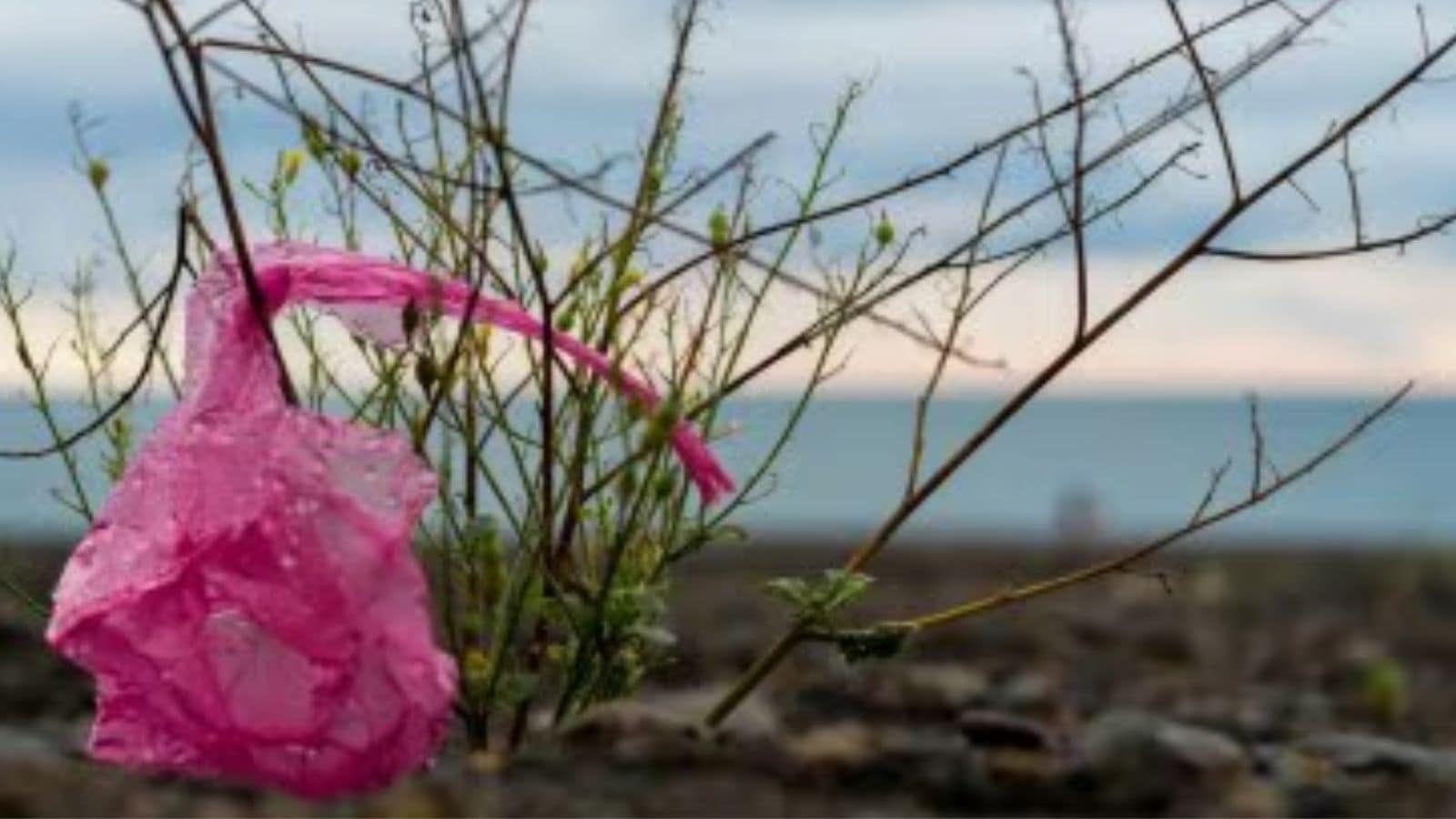 Over 100 Nations Push For Plastic Production Limits Amid Tense Treaty ...