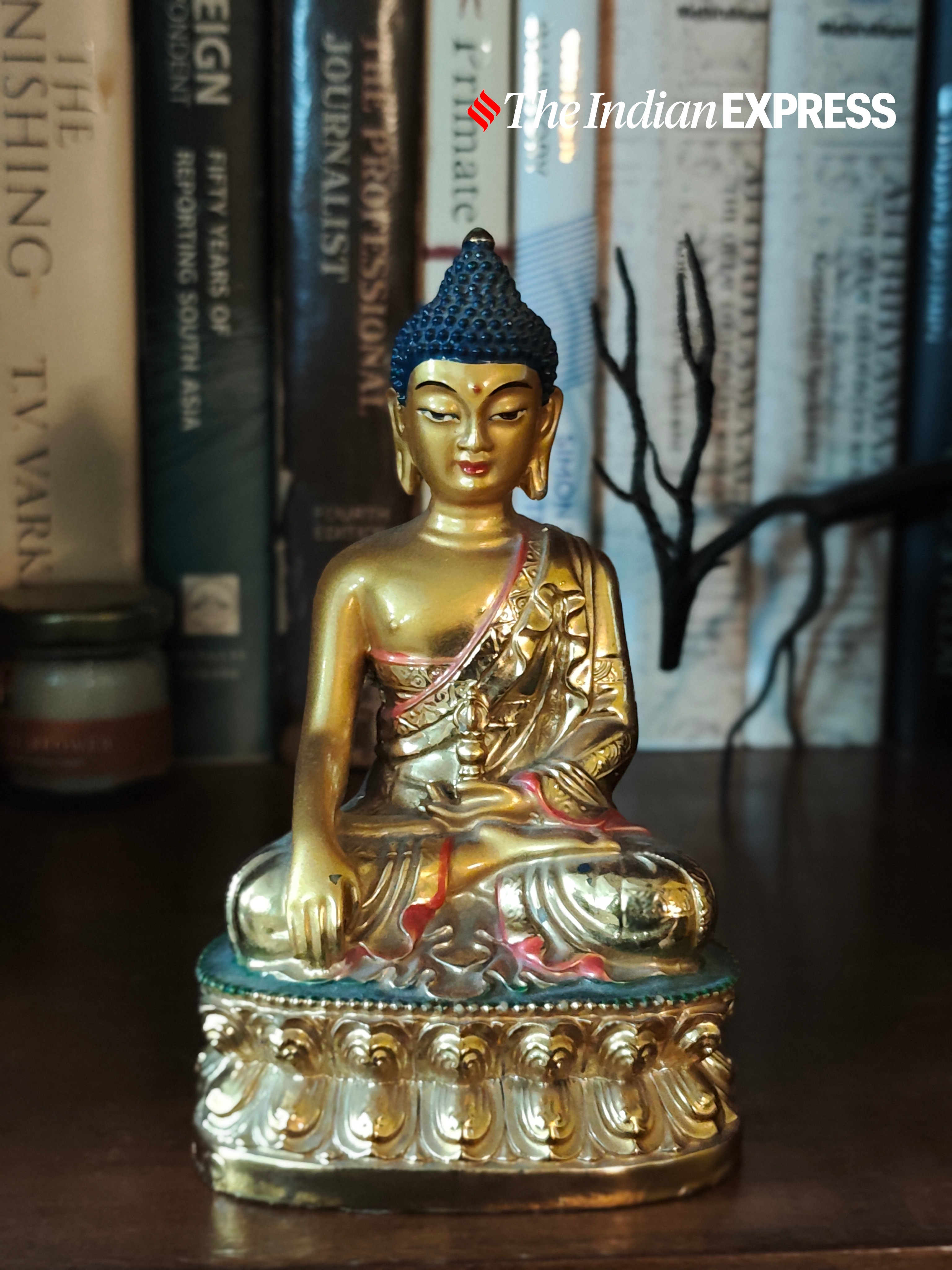 Redmi Note 14 Pro+ 5G’s camera sample.