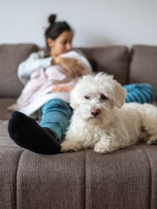 Protecting pets from the cold: Expert tips on bathing, clothing, and more