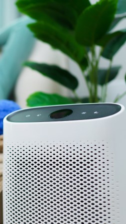 The ultimate guide to safe air purifiers for homes with pets