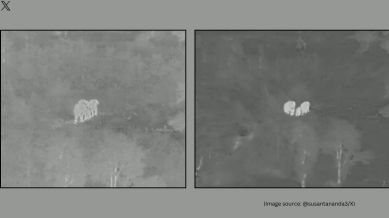 The AI camera captured the elephants walking towards the railway line (Image source: @sudantananda3/X)