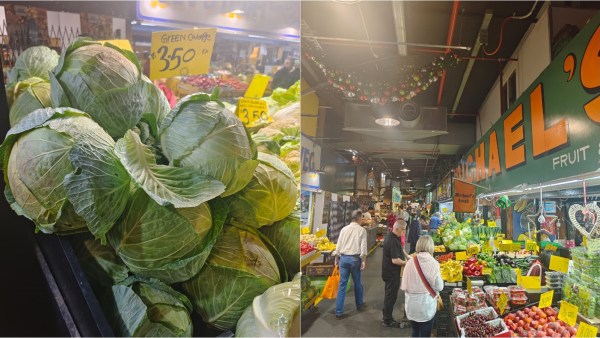 Australia Cabbages