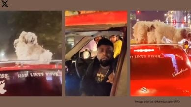 Bengaluru man drives with dogs perched on car's roof