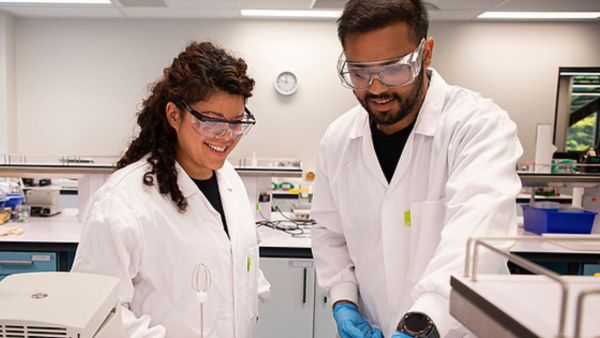 Being a PhD candidate in New Zealand