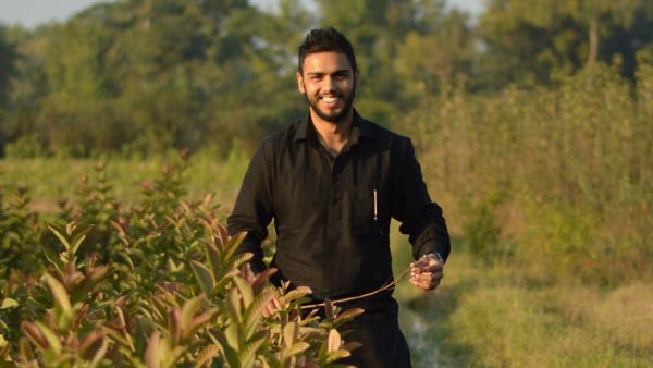 Being a PhD candidate in New Zealand