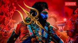 Pushpa 2 Box Office Collection Day 25