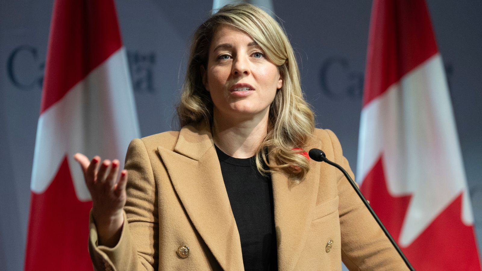 Canadian ministers met Trump aides over tariff risks, immigration