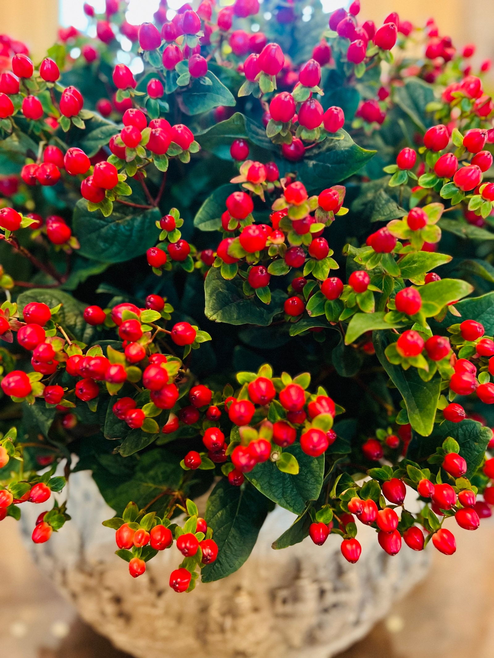 Christmas, Christmas decor