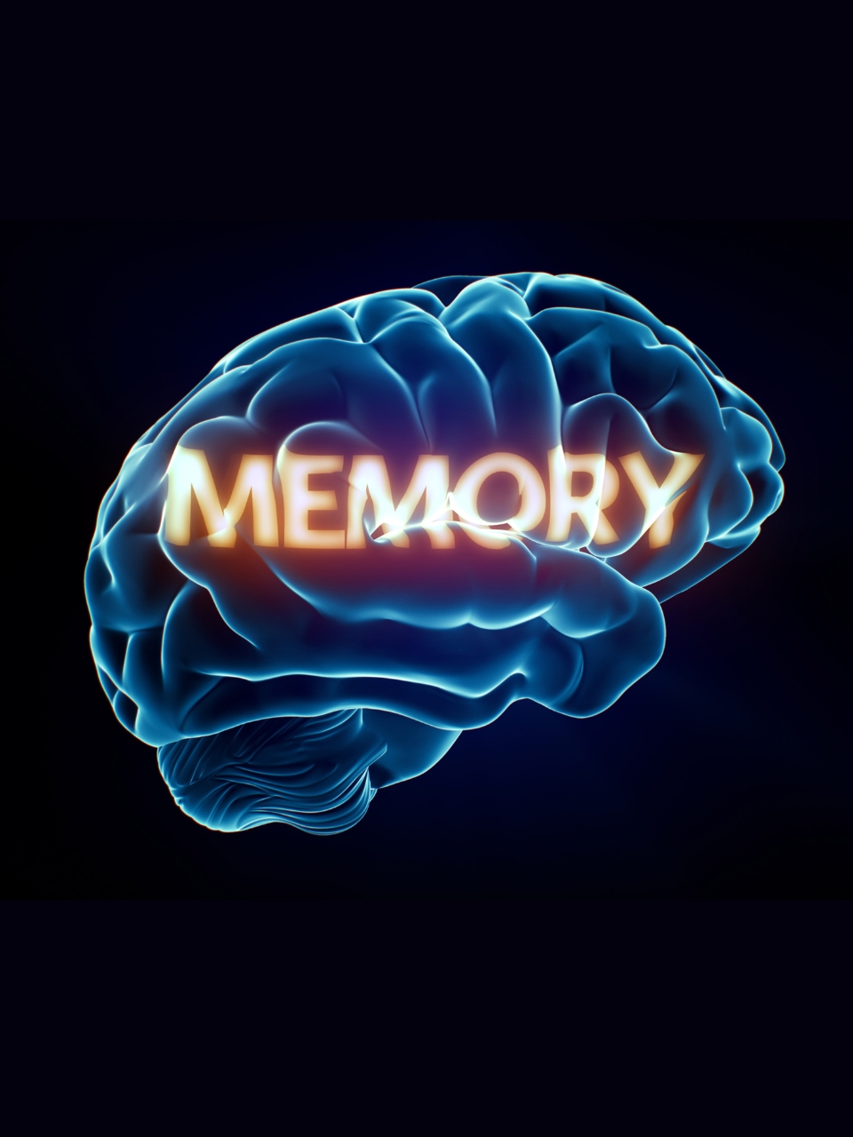 How The RECALL Method Can Help You Remember Everything How the recall method can help you remember everything