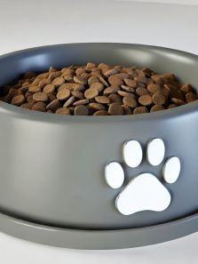 Benefits of transitioning to animal foods