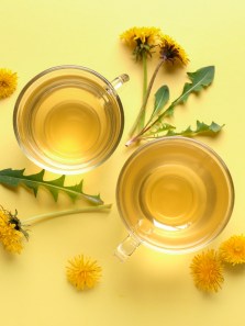 Can dandelion tea be the key to reducing bloating?