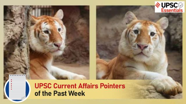 UPSC Current Affairs Pointers of the past week | November 25 to December 1, 2024, golden tiger, ava, thailand, tabby, pygmy hog