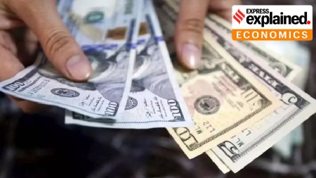 FDI flows, forex reserves