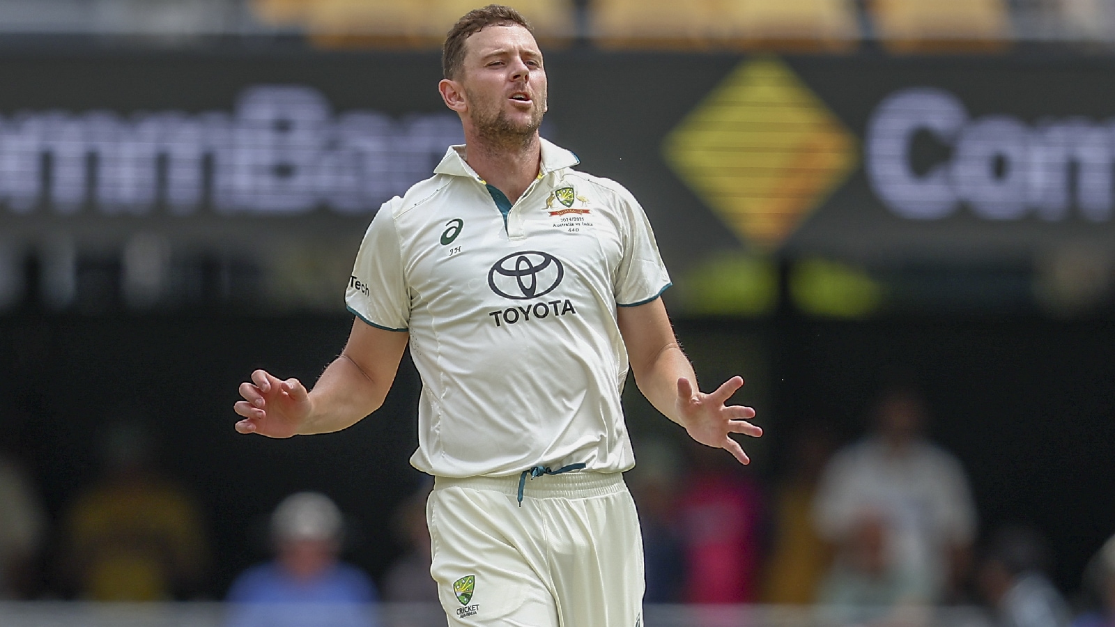 Daniel Vettori explains how rain helped Australia deal with Josh Hazlewood injury blow