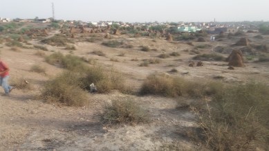 Harappan site