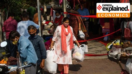 Household Consumption Expenditure Survey 2023-24 released by MoSPI