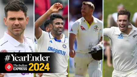 James Anderson, Ravichandran Ashwin, David Warner, Tim Southee