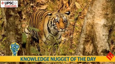 Knowledge nugget of the day: India’s latest tiger reserve