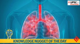 Knowledge nugget of the day: Nafithromycin