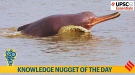 Knowledge nugget of the day: first-ever satellite tagging of a Ganges dolphin