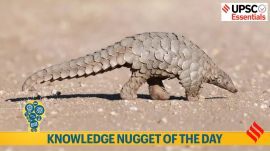 knowledge nugget, pangolins, poaching, endangered, indian and chinese