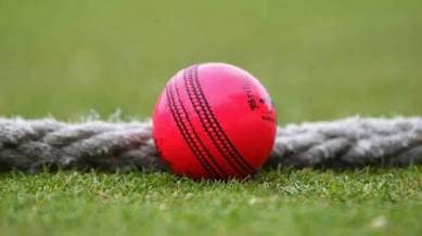 India have only played four Pink-Ball Tests since their first in 2019. (Reuters)