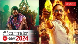 Best non-Hindi performances of 2024