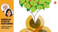 What can the budget do for agriculture