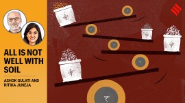 Opinion3_9th-Dec all is not well with soil