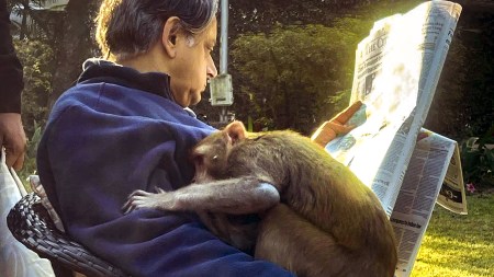 Shashi Tharoor, Kerala Connection, Priyanka Gandhi Vadra, Jyotiraditya Scindia, Delhi Confidential, Indian express news, current affairs