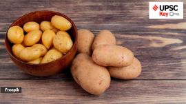 Why the term ‘deregulation’ is relevant to the UPSC exam? What is the significance of topics such as the Steel Industries in India, De-induction’ ‘Disengagement’ and ‘De-escalation’ on both the preliminary and main exams? You can learn more by reading the Indian Express UPSC Key for December 6, 2024.