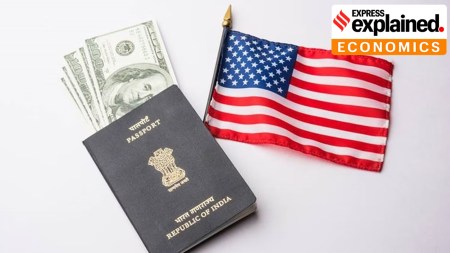Indians and the H-1B visa
