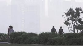 respiratory illnesses