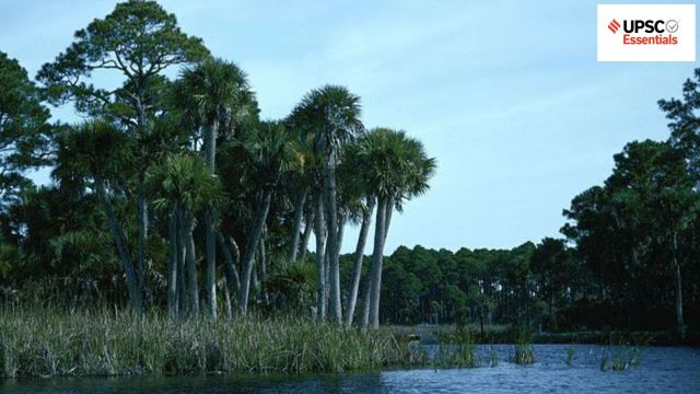 UPSC Essentials | Daily subject-wise quiz : Environment and Geography (Week 87)