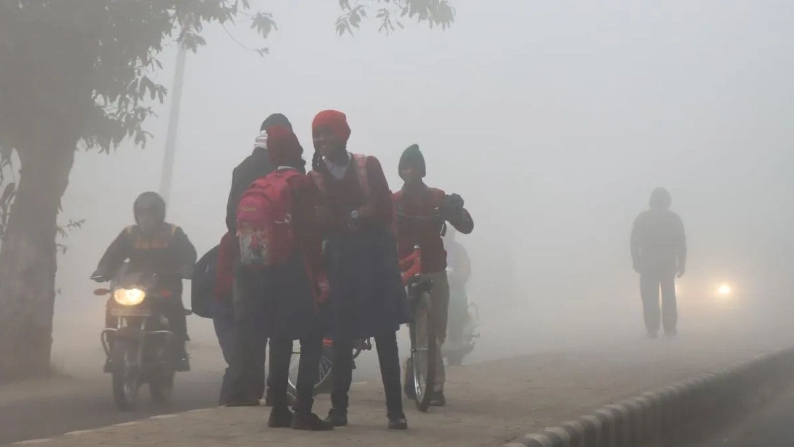 Winter Vacations 2026: Punjab, Assam, UP, Bihar, Jharkhand shut schools due extreme cold, fog disruptions Winter Vacations 2026: Punjab, Assam, UP, Bihar, Jharkhand shut schools due extreme cold, fog disruptions
