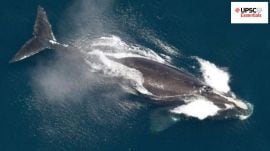 UPSC Essentials | Daily subject-wise quiz : Environment and Geography (Week 89)