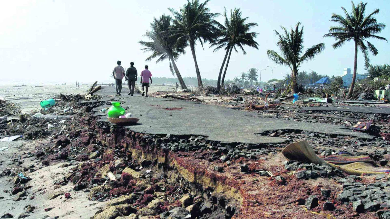Tsunami warning this year