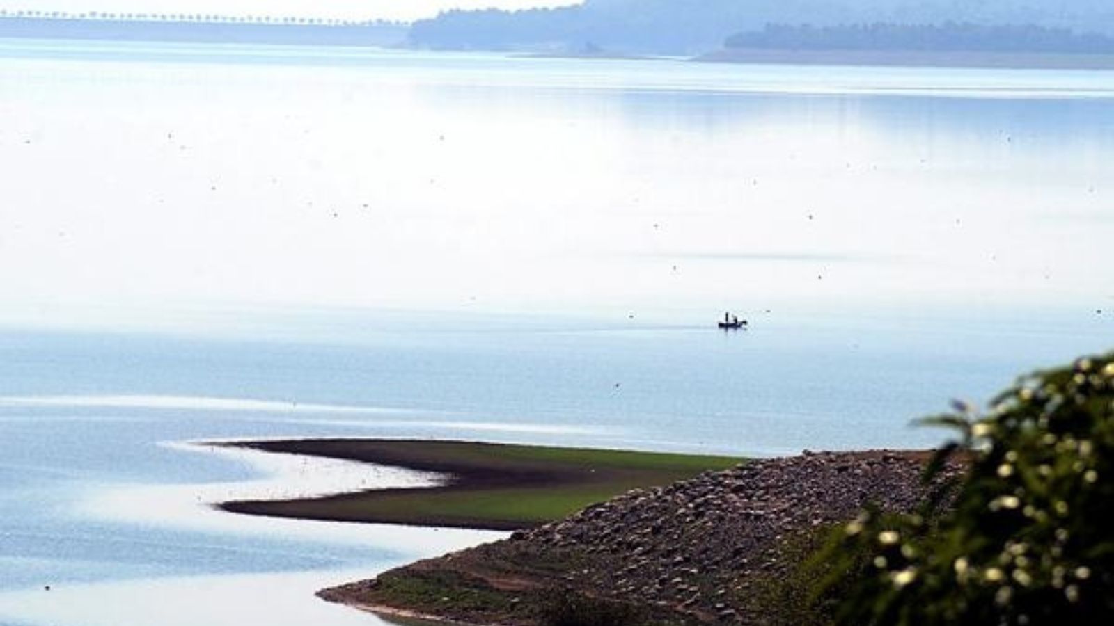 ‘Arid area, sandy soil, close to border’: Himachal panel flags issues with land proposed to be allotted to Pong Dam displaced families | Chandigarh News ‘Arid area, sandy soil, close to border’: Himachal panel flags issues with land proposed to be allotted to Pong Dam displaced families | Chandigarh News