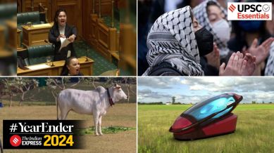Brain-rot, Maori haka, Blood money, crypto, 3zero club, manifest, 4B movement, operation indravati, Keffiyeh, cyber slavery, digital arrest