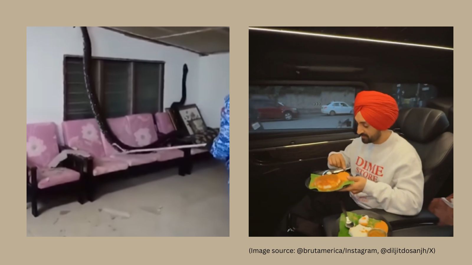 Python crashes through Malaysian home’s ceiling, Diljit Dosanjh visits Bengaluru’s Rameshwaram Cafe, and more: Top 5 viral videos | Trending News Python crashes through Malaysian home’s ceiling, Diljit Dosanjh visits Bengaluru’s Rameshwaram Cafe, and more: Top 5 viral videos | Trending News