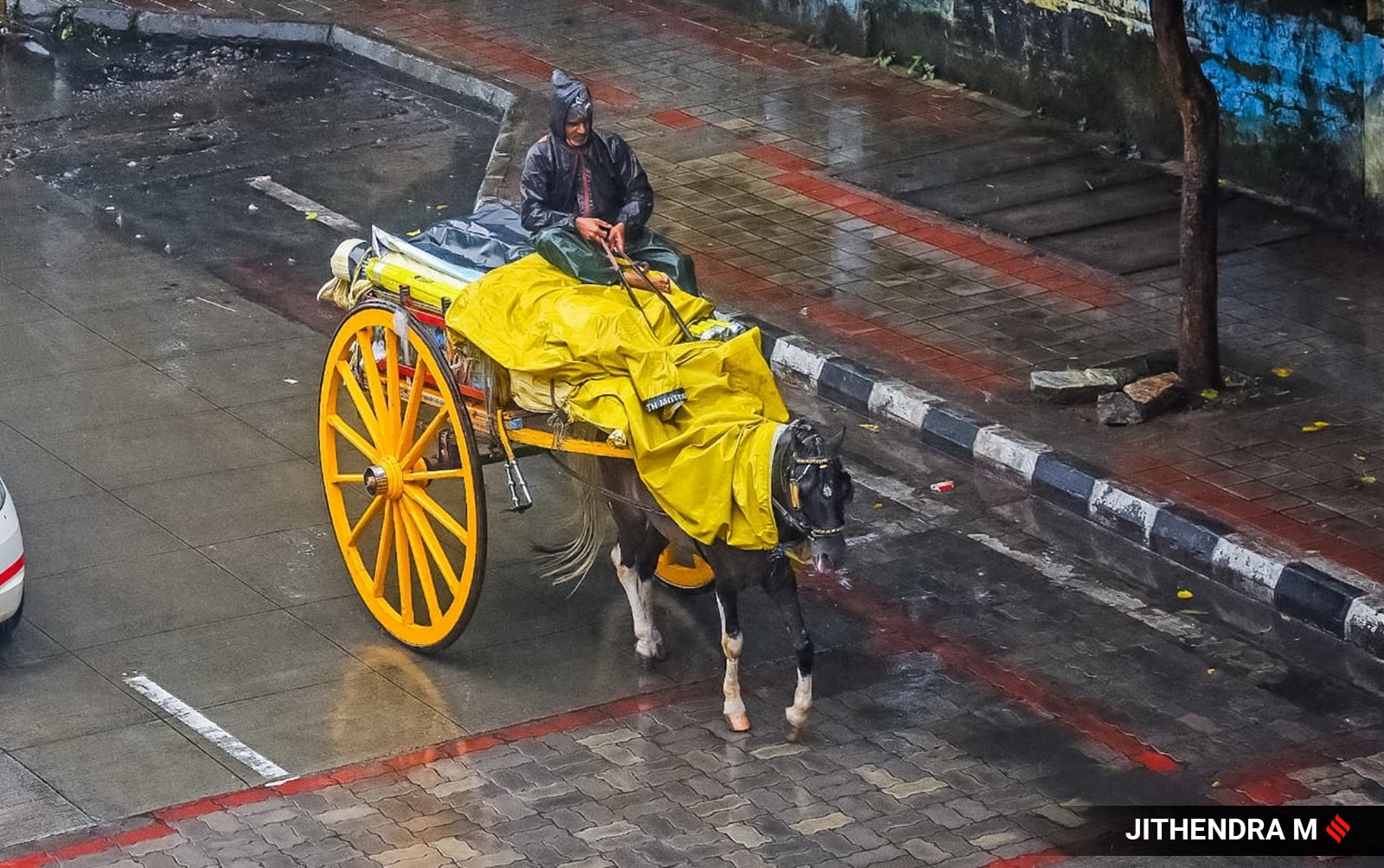 Karnataka Schools Closed Due to Cyclone Fengal's Heavy Rains