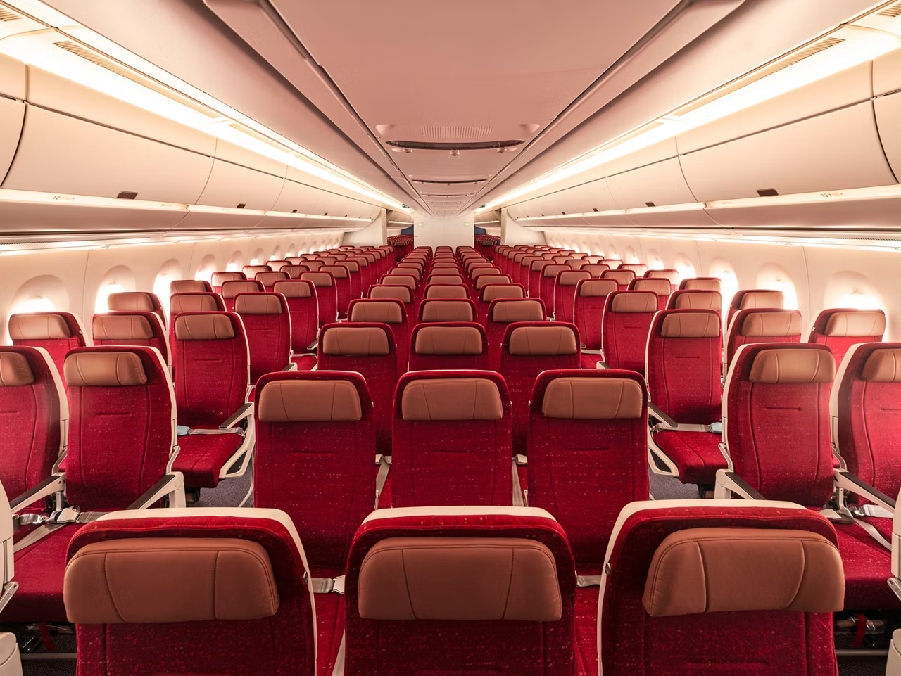 Air India flight