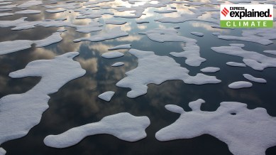 arctic
